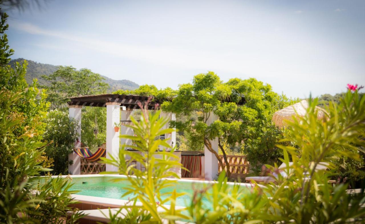 Hacienda El Tarajal Hotel Priego de Córdoba Exterior foto